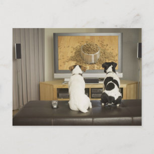 Honden kijken hondengerecht met eten op tv briefkaart