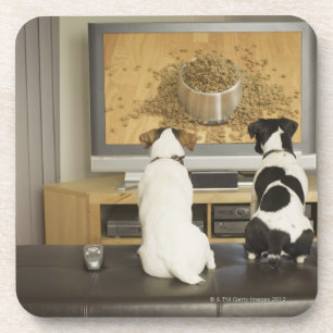 Honden kijken hondengerecht met eten op tv onderzetter