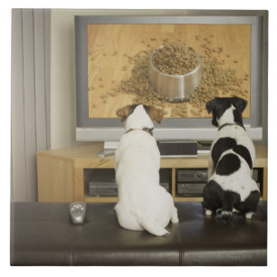 Honden kijken hondengerecht met eten op tv tegeltje