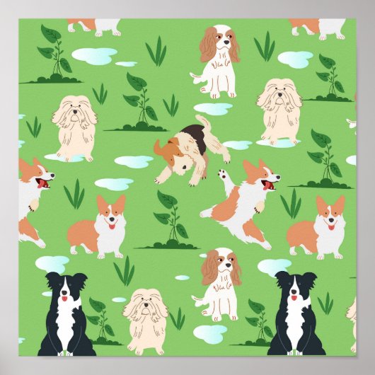 Honden Krabbelen Poster (Voorkant)