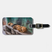 Honden krullende bagagelabel met lederriem (Voorkant horizontaal)
