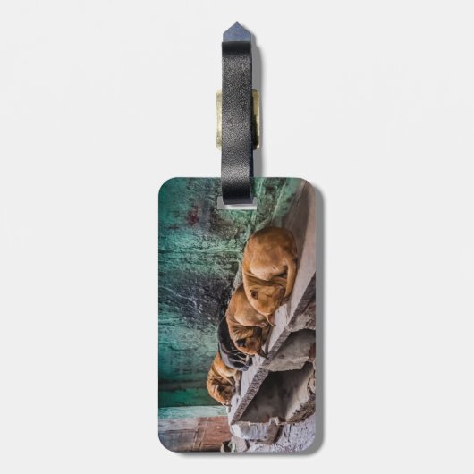 Honden krullende bagagelabel met lederriem (Achterkant verticaal)