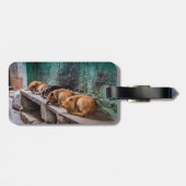 Honden krullende bagagelabel met lederriem (Achterkant horizontaal)