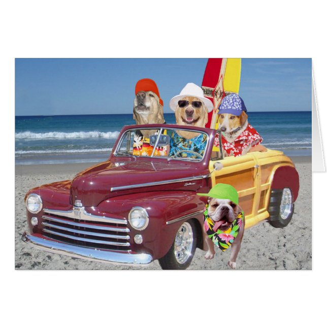 Honden/laboratoria op de strand (Voorkant Horizontaal)