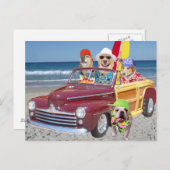 Honden/laboratoria op de strand in een wei briefkaart (Voorkant / Achterkant)