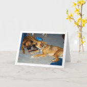 Honden met been kaart (Gele Bloem)