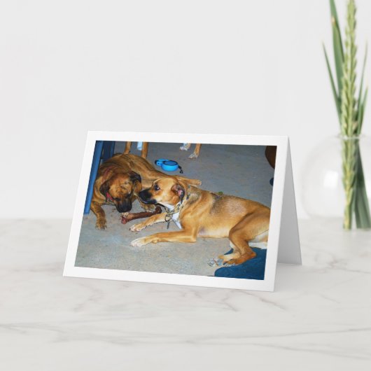 Honden met been kaart (Voorkant)