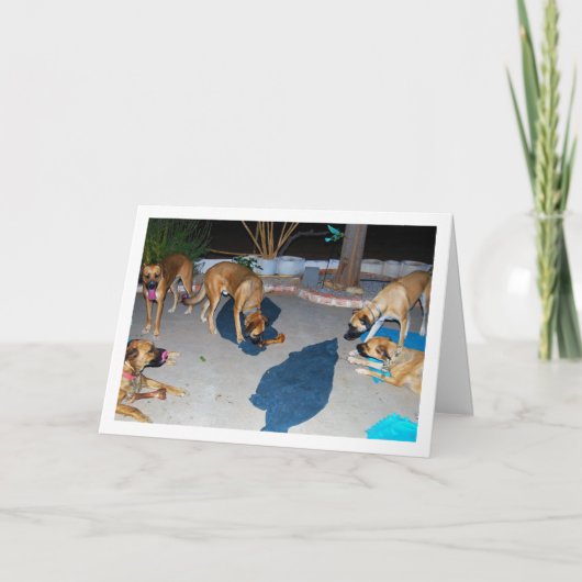 Honden met Botten en handdoeken Kaart (Voorkant)