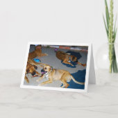 Honden met Botten en handdoeken Kaart (Voorkant)