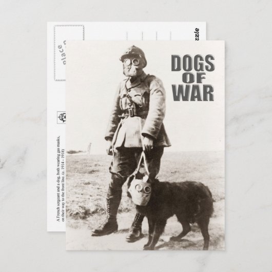 Honden met een gasmasker in oorlogstijd briefkaart (Voorkant / Achterkant)