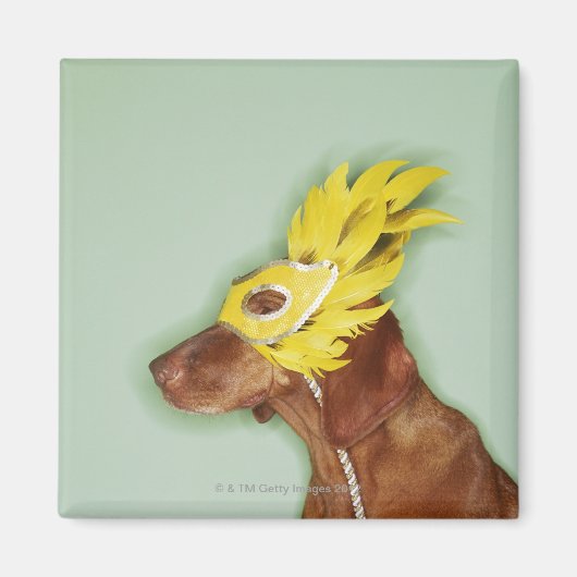 Honden met masker magneet (Voorkant)