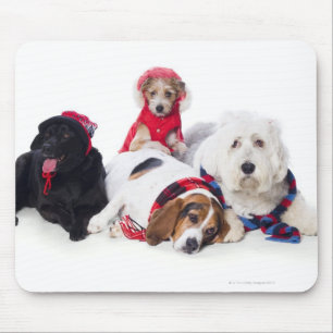 Honden met winterse accessoires muismat