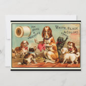 Honden naaigarens Briefkaart (Voorkant)