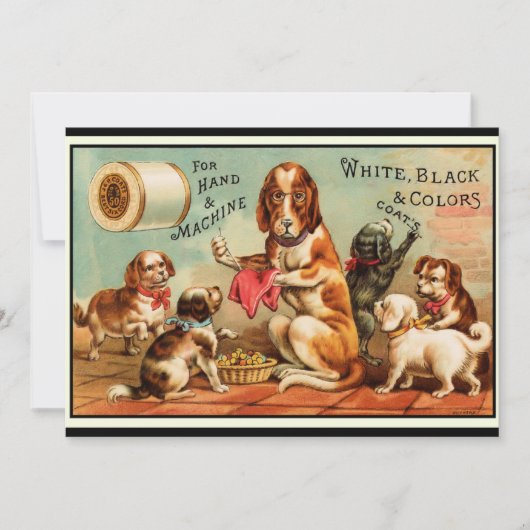 Honden naaigarens Briefkaart (Voorkant)