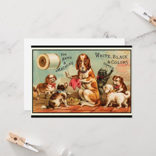 Honden naaigarens Briefkaart (Voorkant / Achterkant in situ)