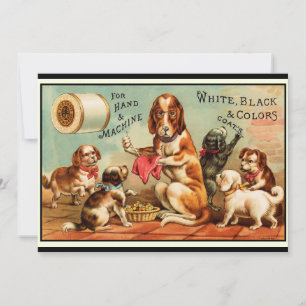 Honden naaigarens Briefkaart
