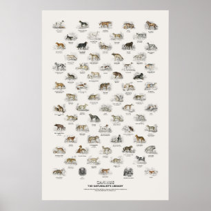 Honden - Naturalist's Library Poster
