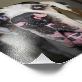 Honden neus foto afdruk (Hoek)