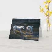 Honden ontmoeten hun eerste golf kaart (Gele Bloem)