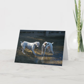 Honden ontmoeten hun eerste golf kaart