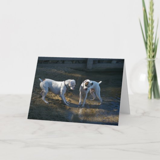 Honden ontmoeten hun eerste golf kaart (Voorkant)