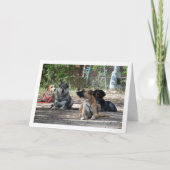 Honden op de opleidingsschool kaart (Voorkant)