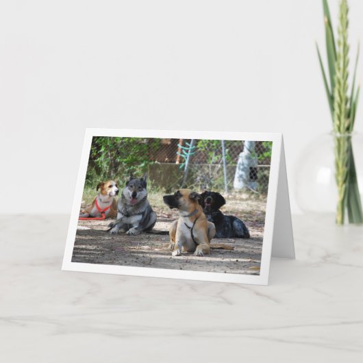 Honden op de opleidingsschool kaart (Voorkant)