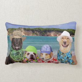 Honden op de strand kussen
