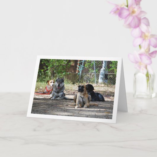 Honden op de trainingsschool kaart (Orchidee)