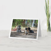 Honden op de trainingsschool kaart (Voorkant)