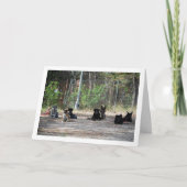 Honden op de trainingsschool kaart (Voorkant)
