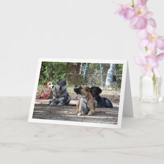 Honden op de trainingsschool kaart (Orchidee)