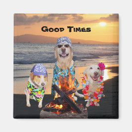 Honden op het strand bij zonsondergang magneet