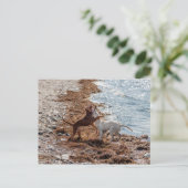 Honden op het strand briefkaart (Staand voorkant)