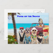 Honden op het strand briefkaart (Voorkant / Achterkant)