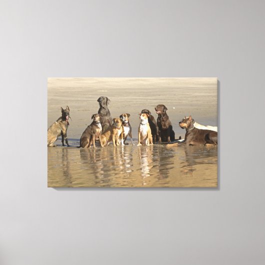 Honden op het strand canvas afdruk (Voorkant)