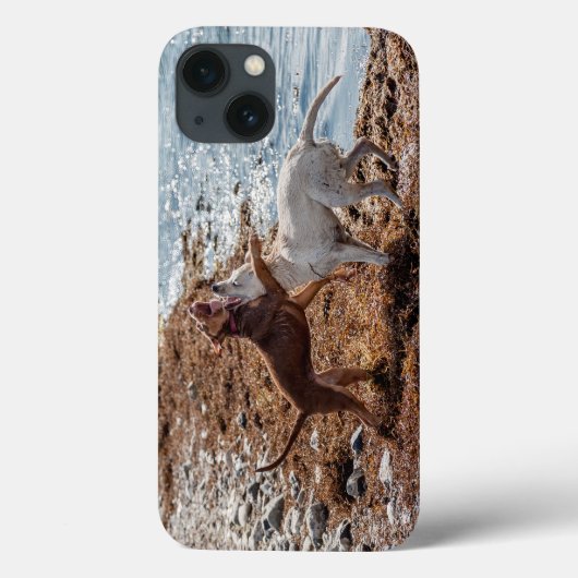 Honden op het strand Case-Mate iPhone case (Achterkant)