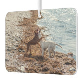 Honden op het strand luchtverfrisser (Links)