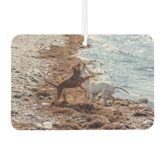 Honden op het strand luchtverfrisser (Voorkant)