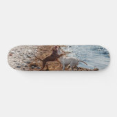Honden op het strand persoonlijk skateboard (Horizontaal)
