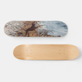 Honden op het strand persoonlijk skateboard (Horizontaal)