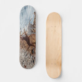 Honden op het strand persoonlijk skateboard (Voorkant)