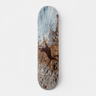 Honden op het strand persoonlijk skateboard