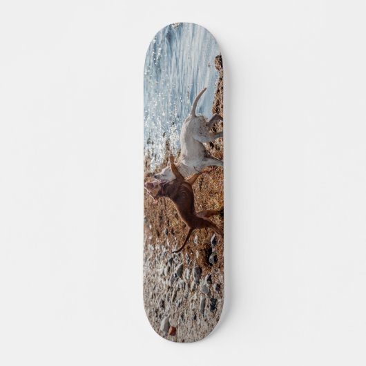 Honden op het strand persoonlijk skateboard (Voorkant)
