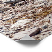 Honden op het strand poster (Hoek)