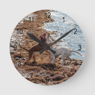 Honden op het strand ronde klok