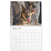 HONDEN OP PARADE - US Military Service Honden Kalender (Feb 2027)