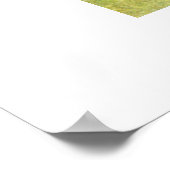 Honden Poster (Hoek)