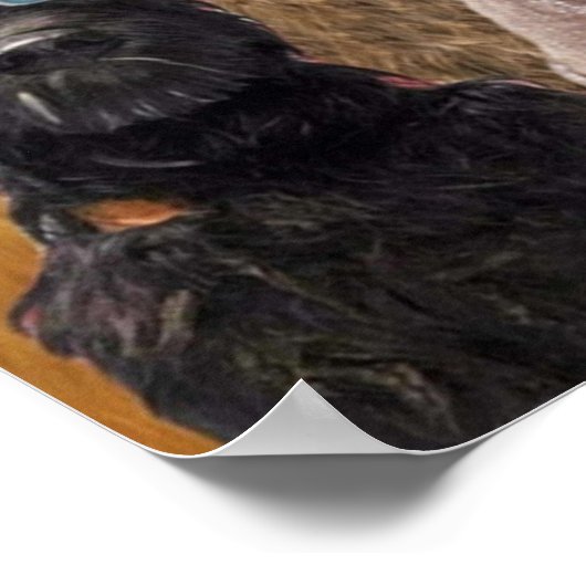 Honden Poster (Hoek)