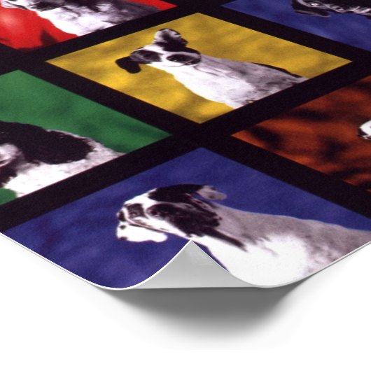 Honden Poster (Hoek)